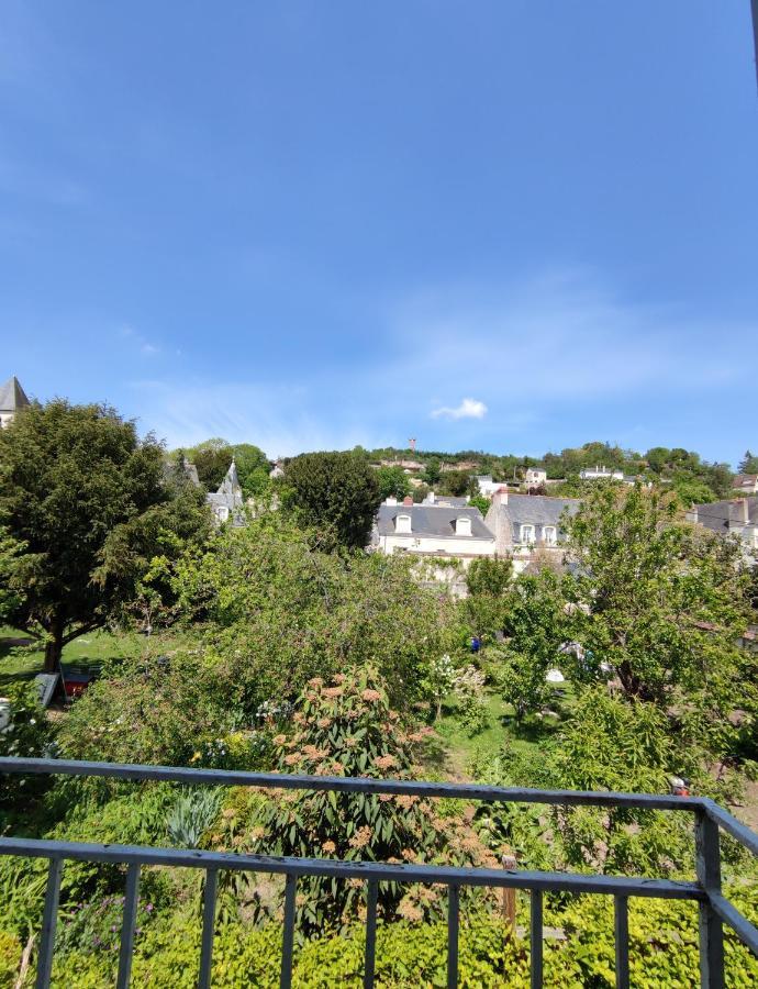 Gite La P'Tite Terrasse Chinon Centre Buitenkant foto